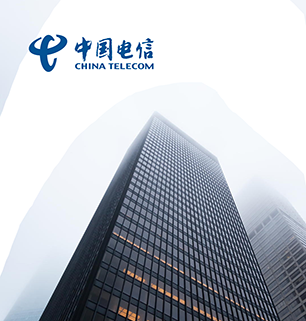 中國(guó)電(diàn)信案例